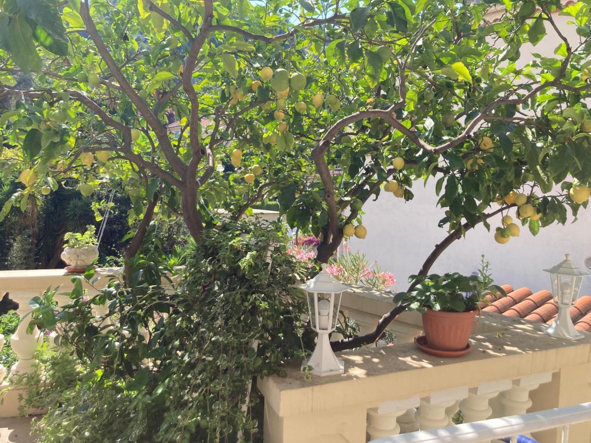 Studio Villa La Cigale Avec Grande Terrasse Μεντόν Εξωτερικό φωτογραφία